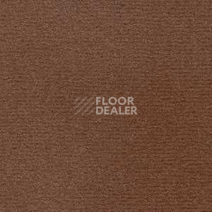 Ковролин Radici Nexus Castoro 8220 фото 1 | FLOORDEALER